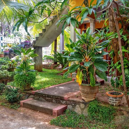 Sigiri Regal Residence Sigiriya Eksteriør billede